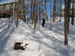 snowboarding-in-the-woods