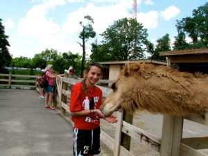 M feeding camel