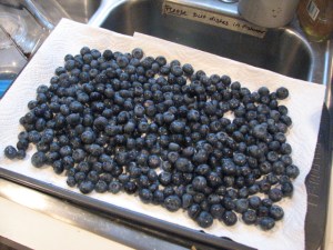 blueberries to freeze
