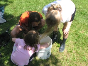 checking out the fish